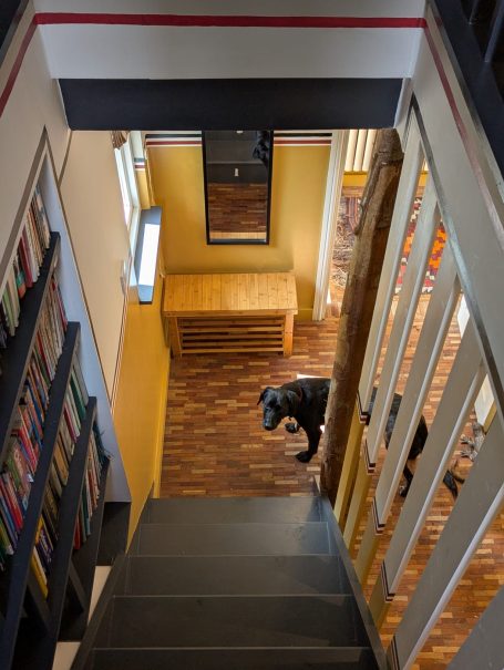Bedroom staircase A staircase leading to a hallway with a dog and bookshelf in a brightly lit interior.