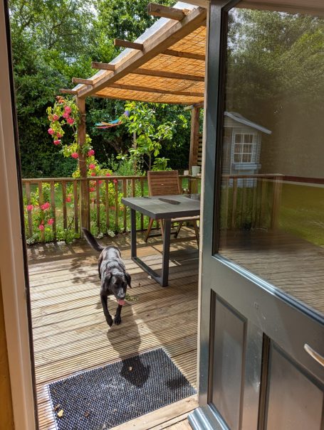 Private Outdoor Space A black dog walks onto a wooden deck with a table and floral vines in the background.